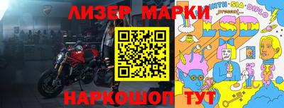 хмурый Кингисепп